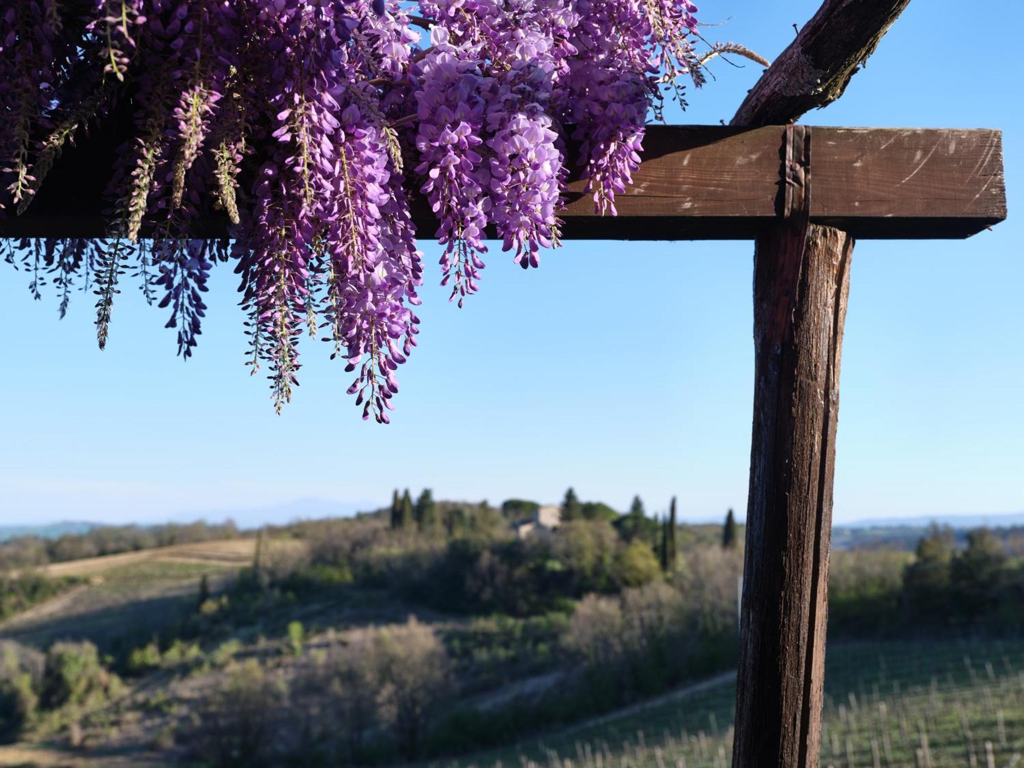 בית הארחה Monti di Sotto 	Pieve Marsina & Borgo Argenina מראה חיצוני תמונה